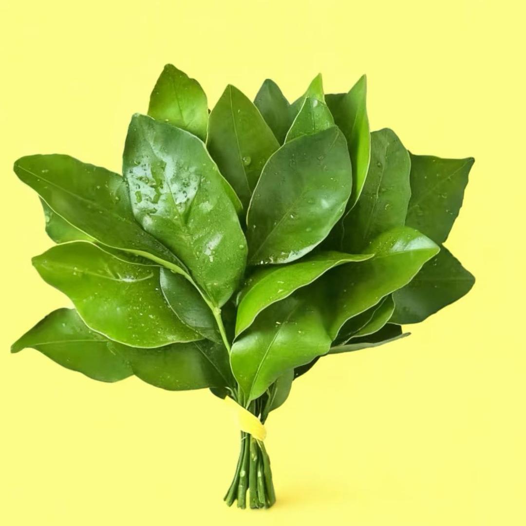 马美丽工作室1店