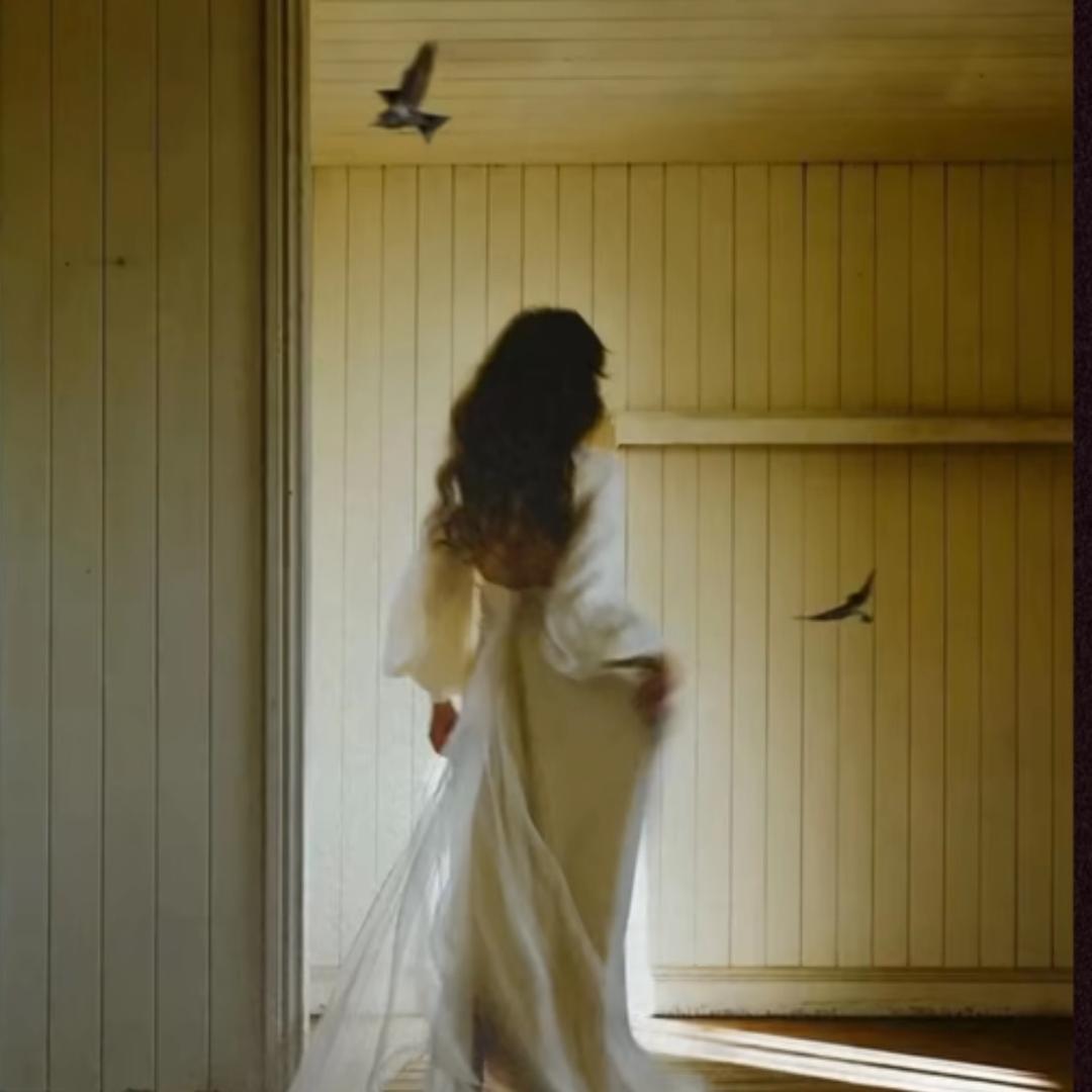 玫瑰-