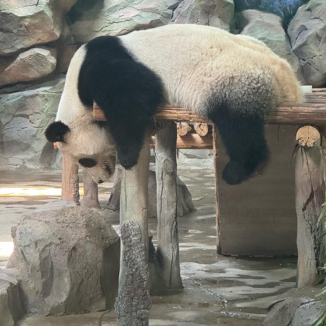 你好朋友