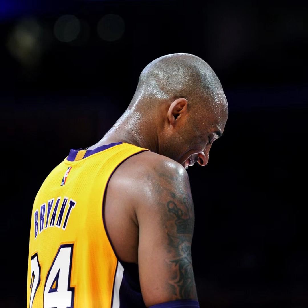 不爱喝酒的小鱼儿