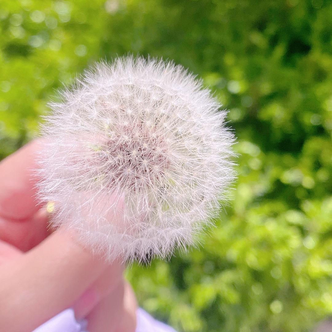 冰❤️
