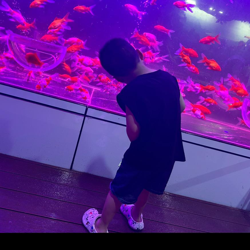 小萌😘