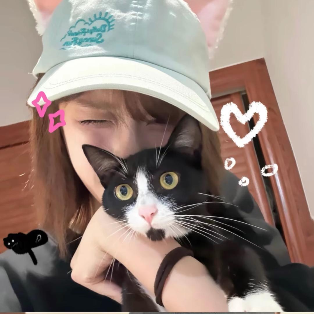 兔兔🐰
