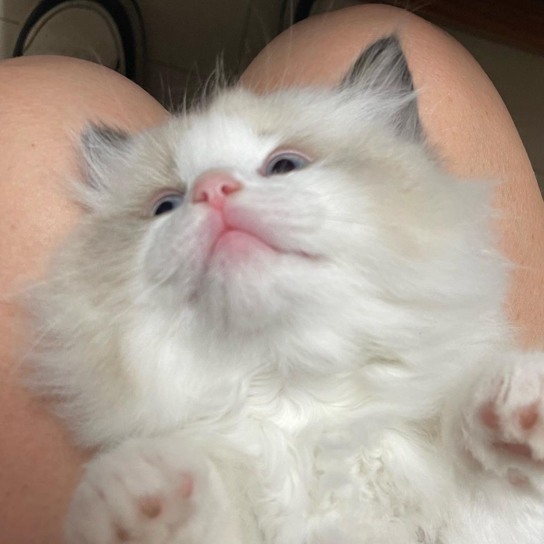 糊糊