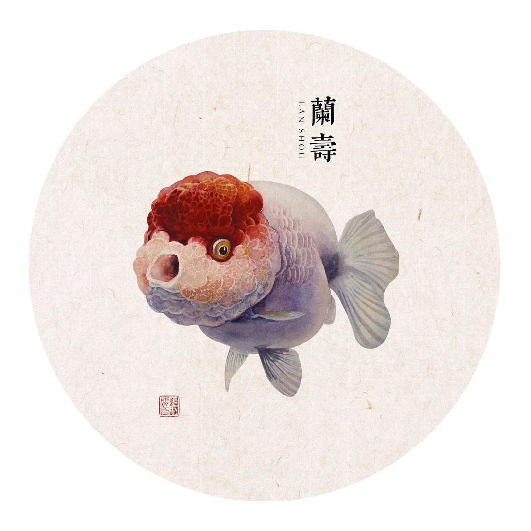 伍条鱼