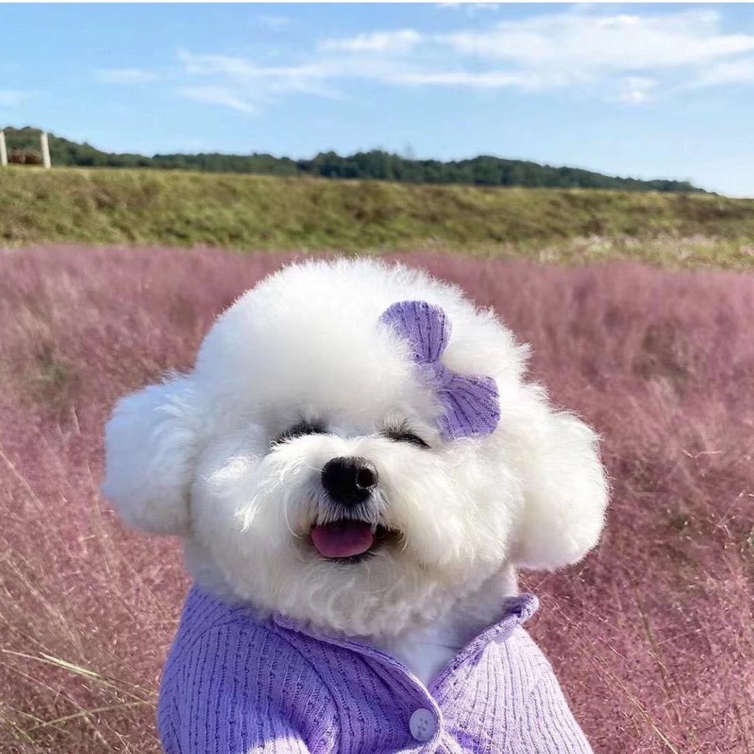 🍭🍒 乖乖的 🌸