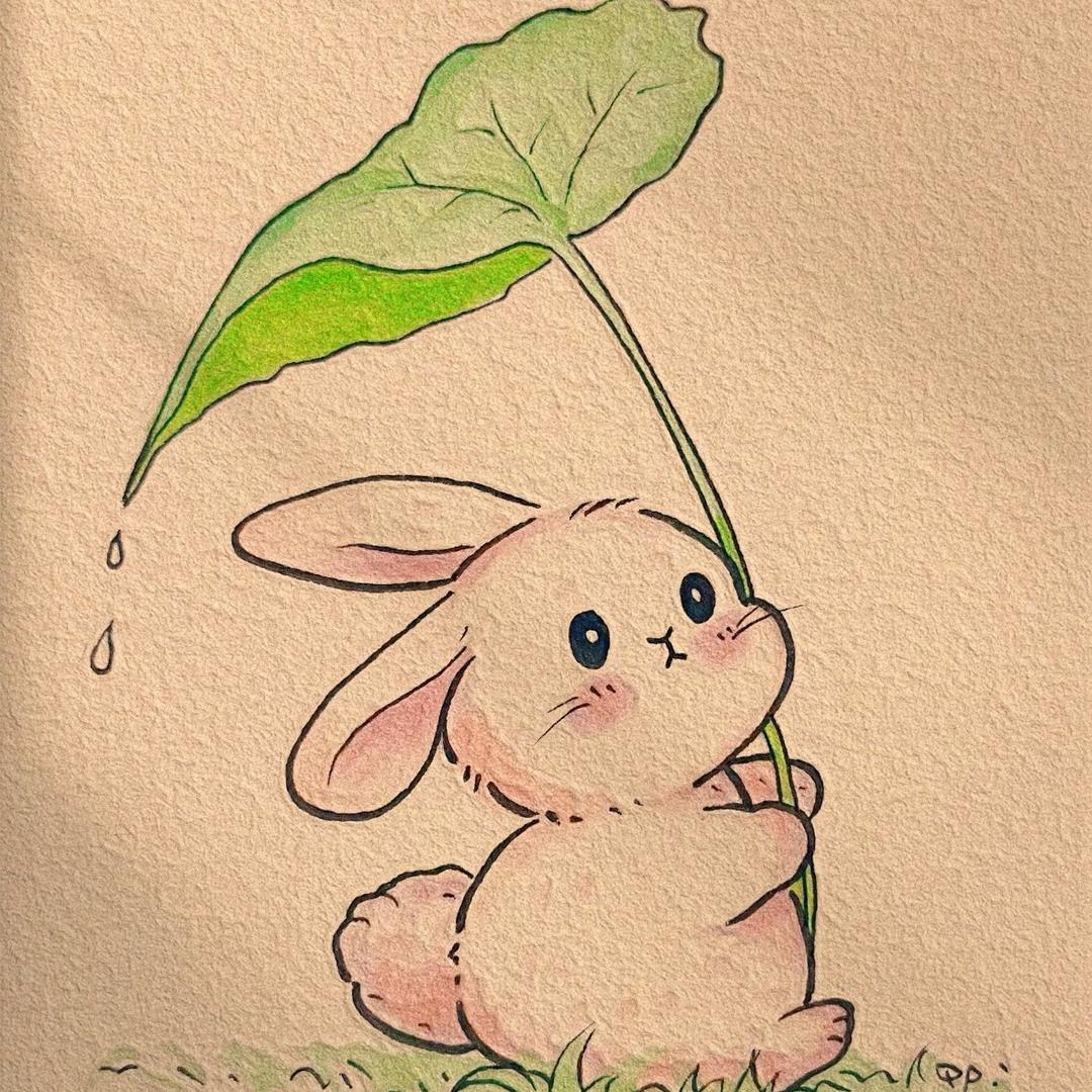 ꩵ月月爆