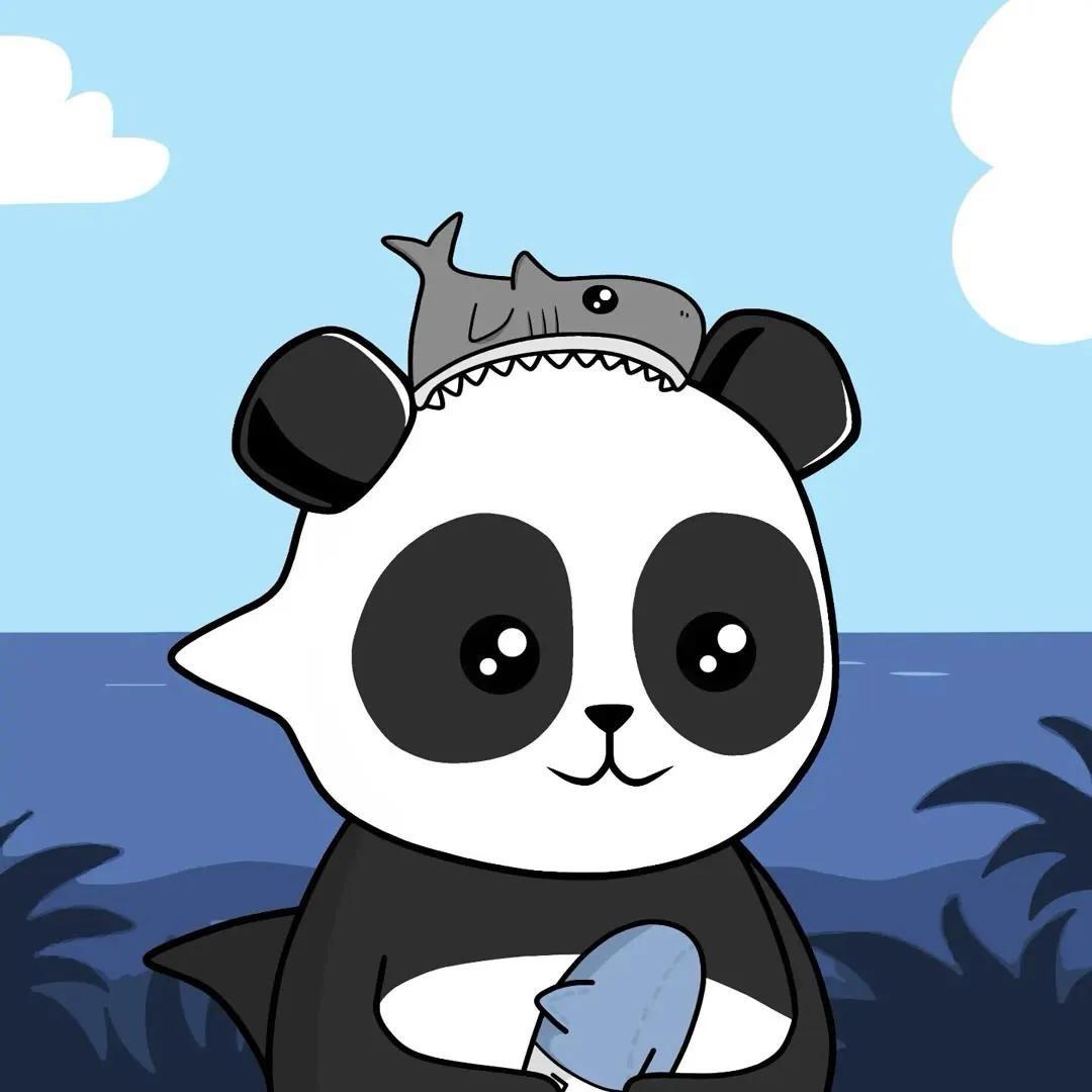 阿猫去哪了