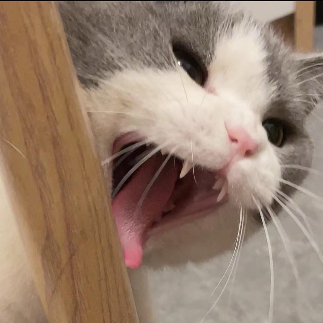 就吃一口.