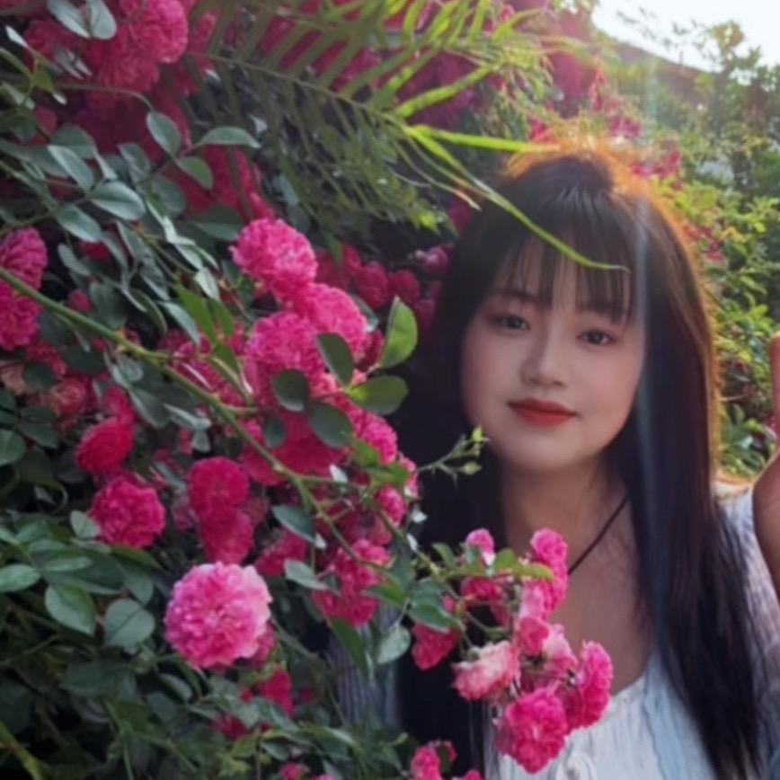 龙姑娘