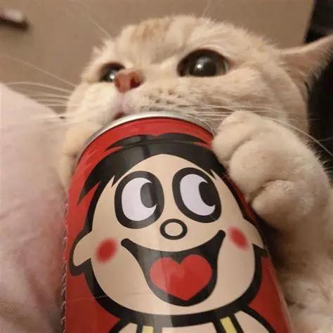 独来独往