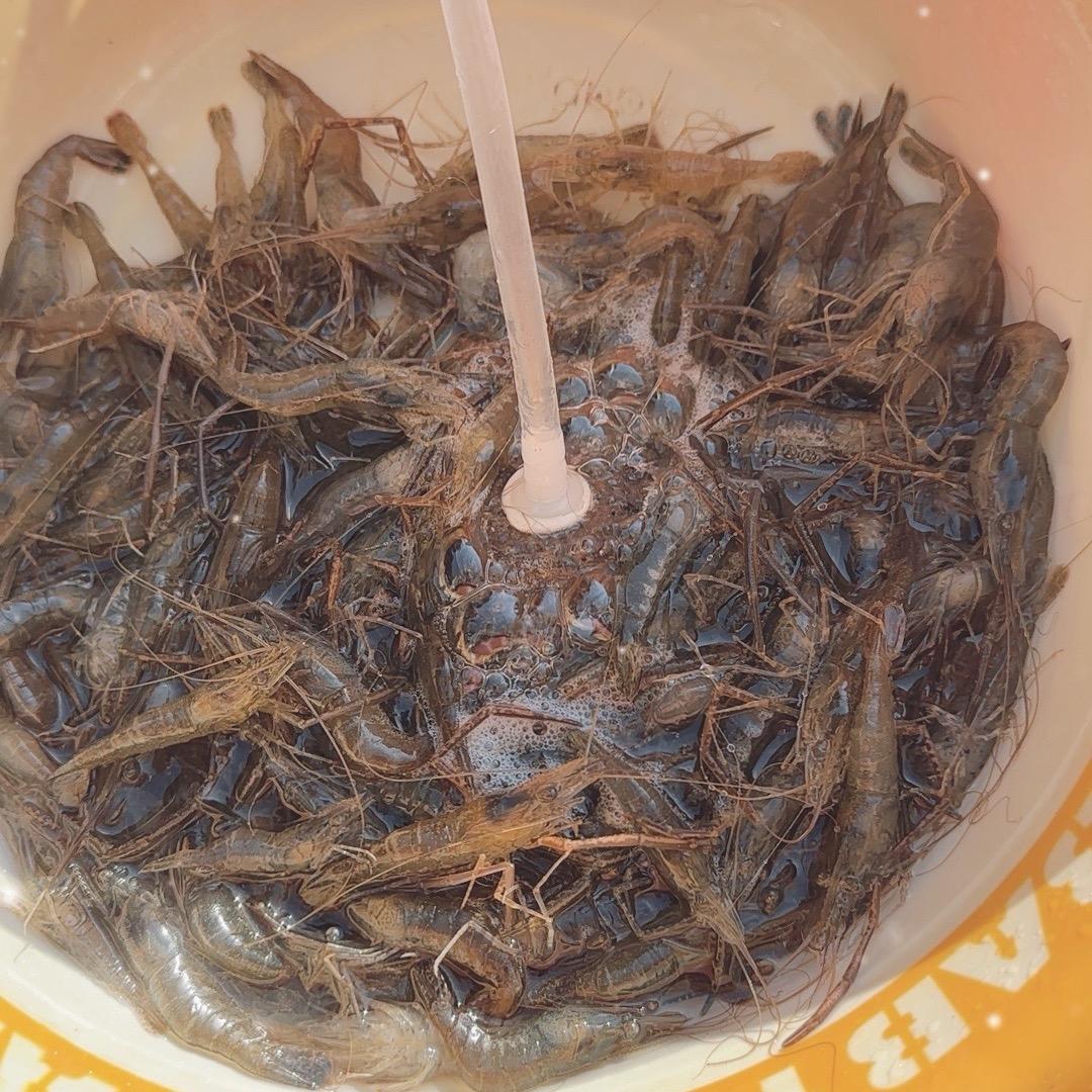 八卦洲中桥村草养土鲫鱼