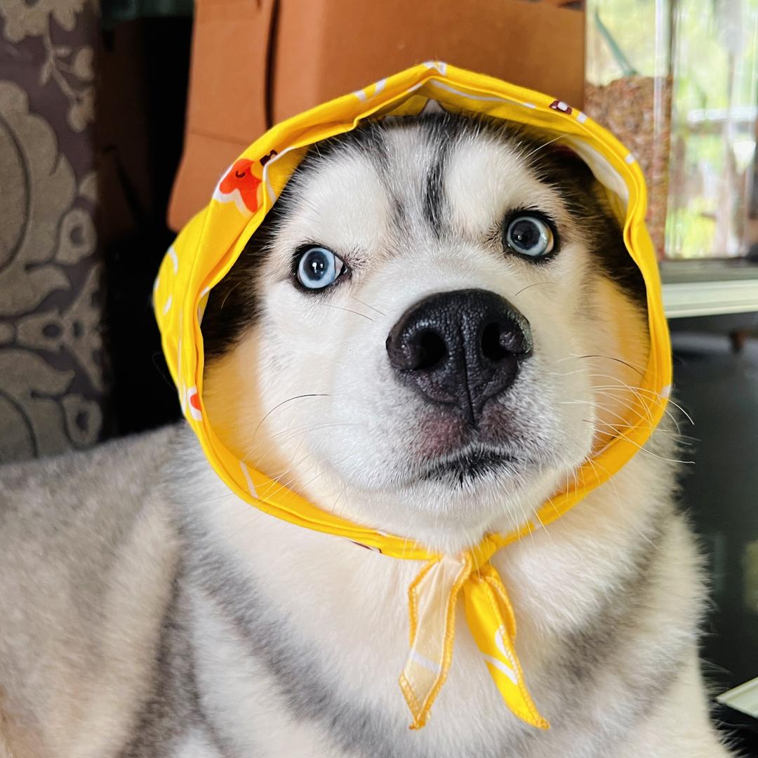 十三呀he