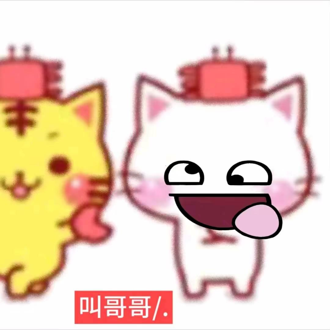 发财兔