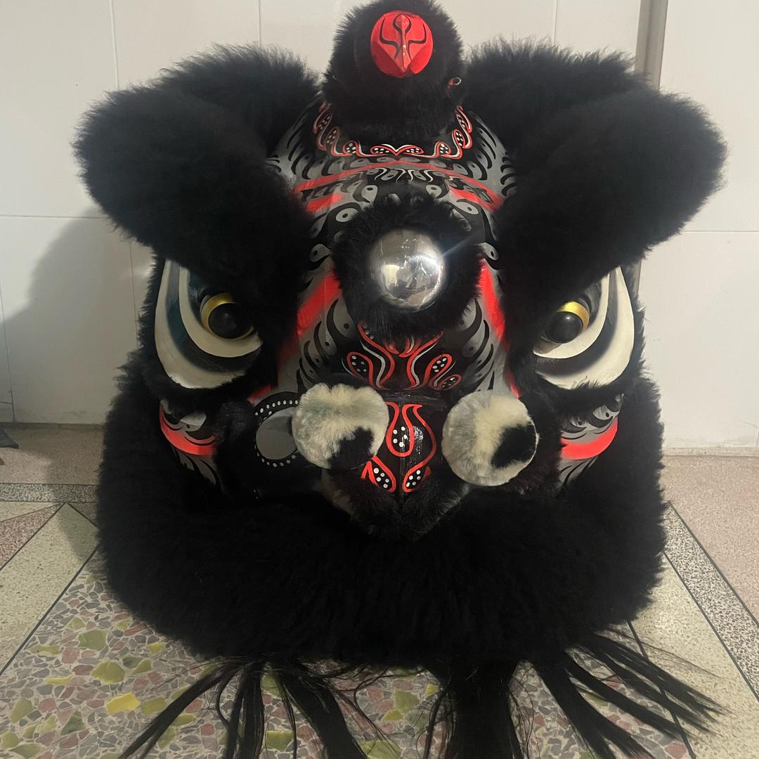 里湖百顺堂狮队