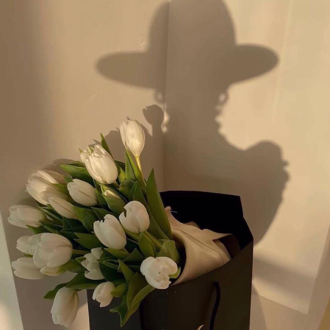 我希望我的希望有希望🌙