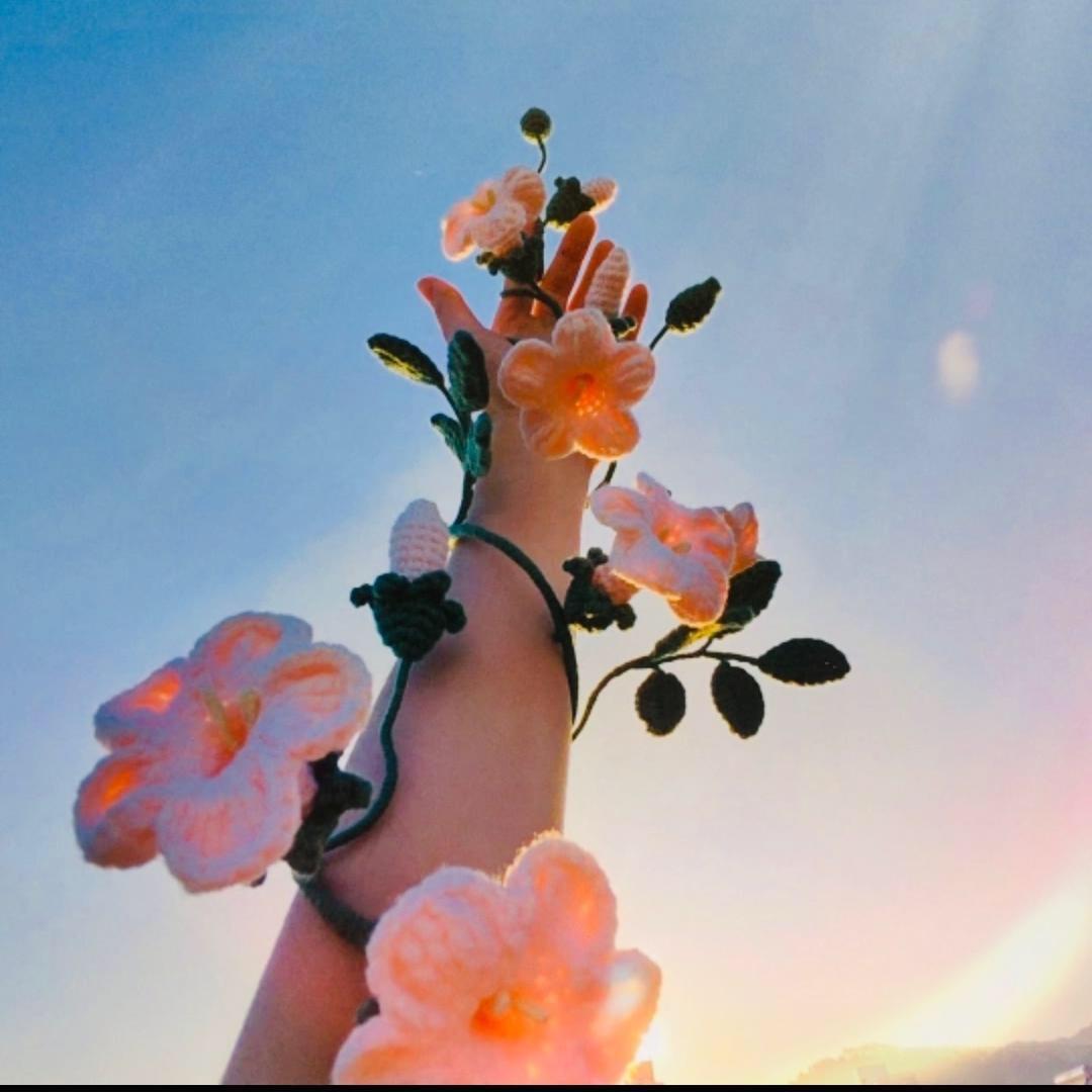 指尖生花（编织版）