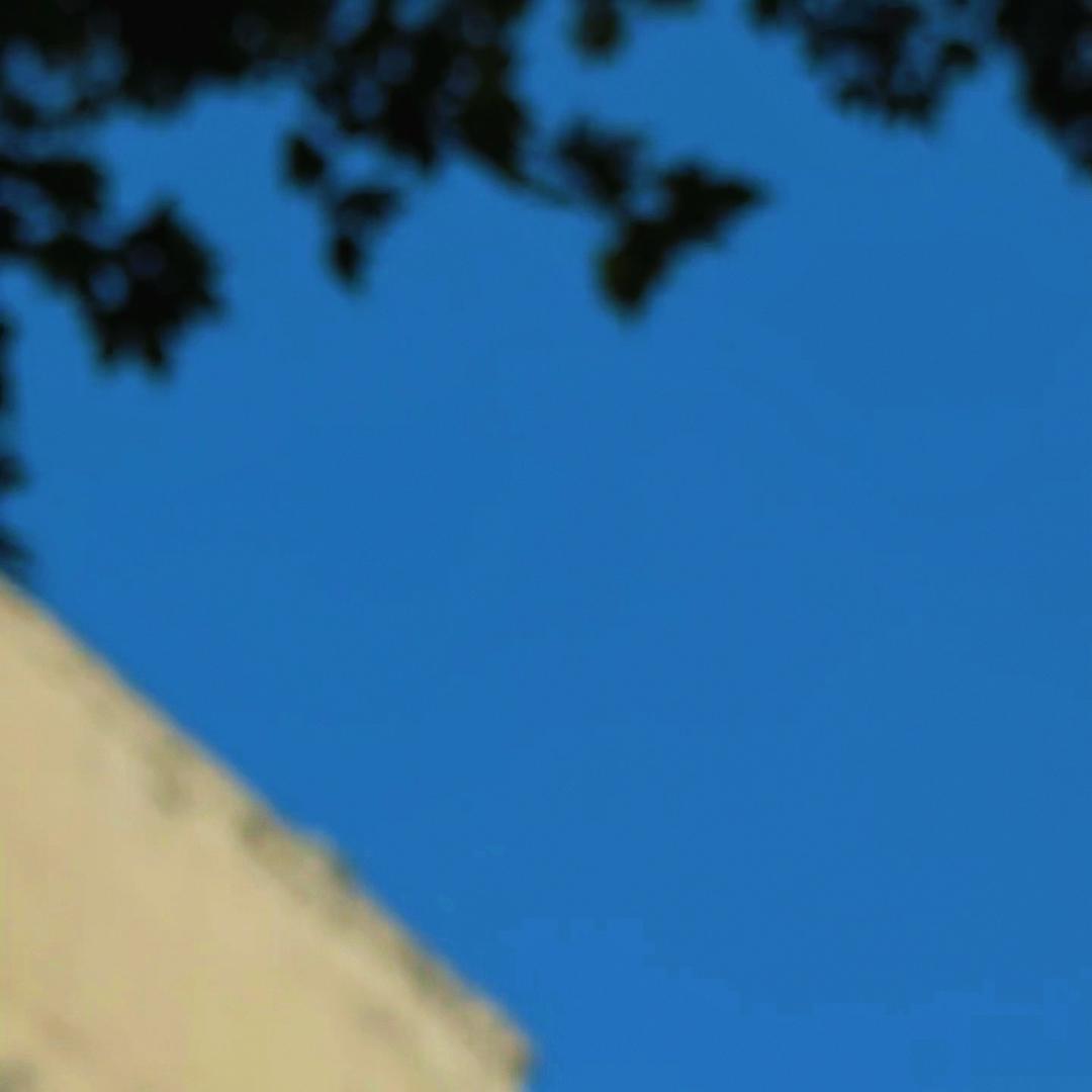 Yang-