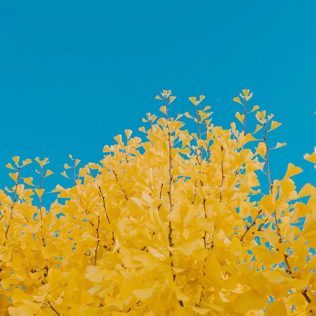 洛迪精品服饰店