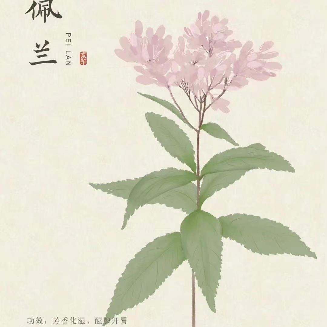 jjj.0303