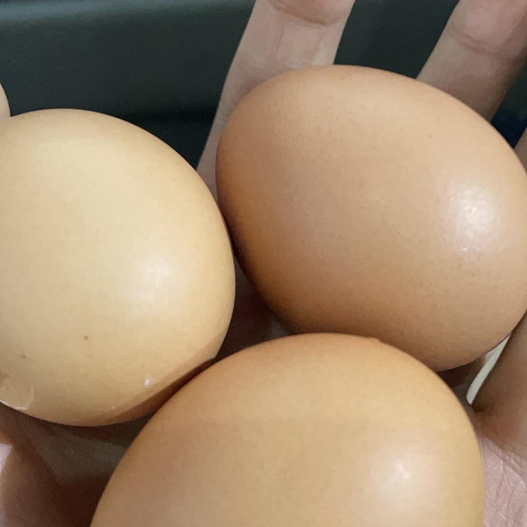 👙小欢👙阜阳