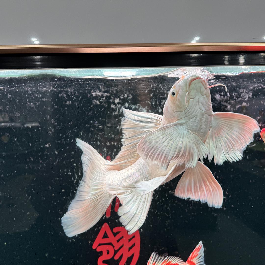 一莉方