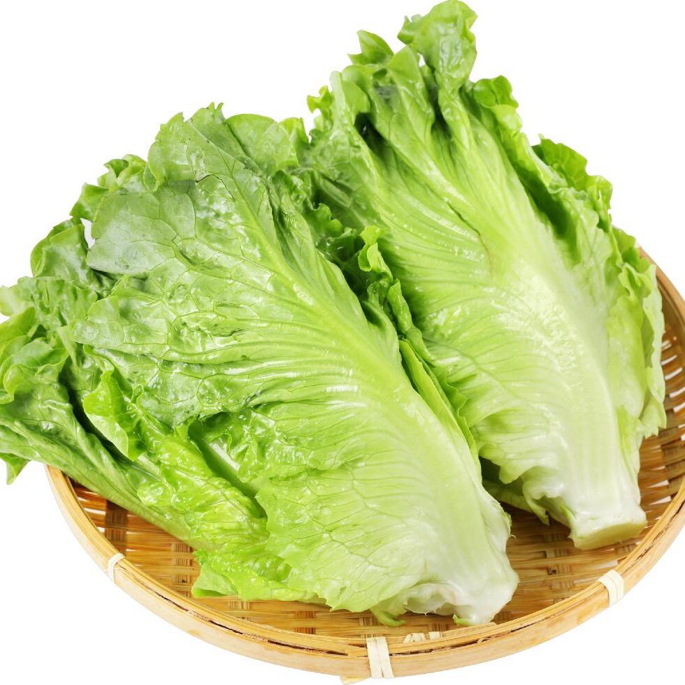汇潮