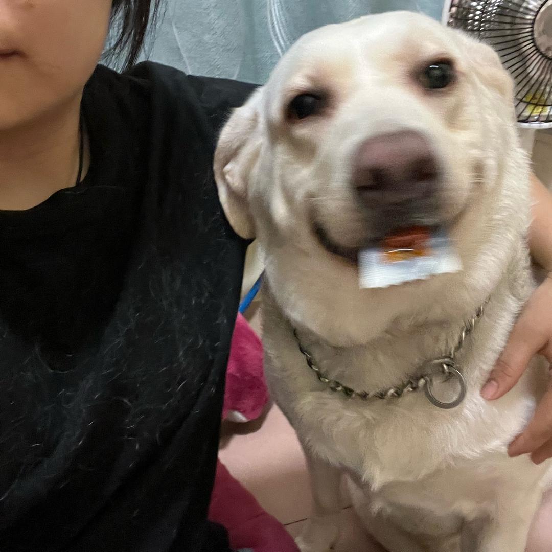 随心