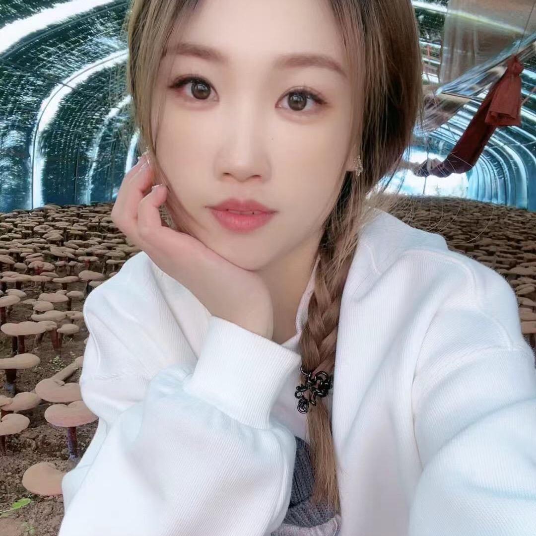 林伟伟