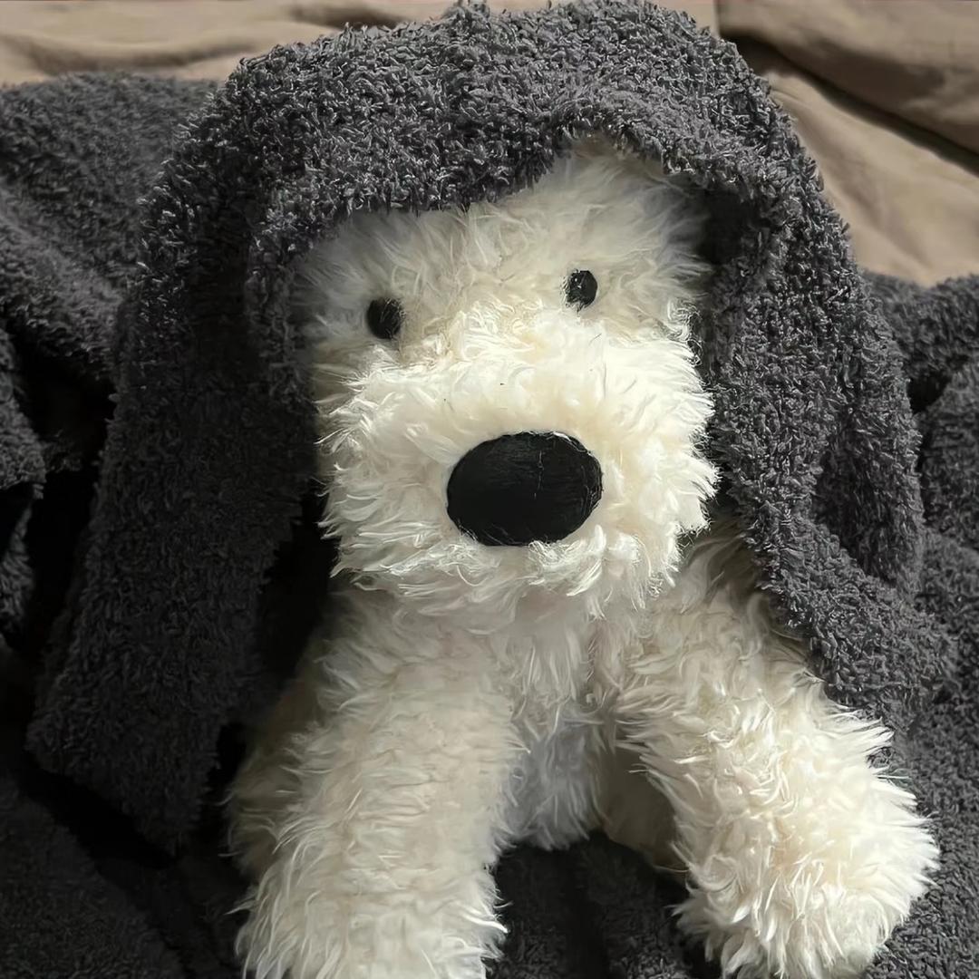 小🐟没有鱼（深圳组局/订台