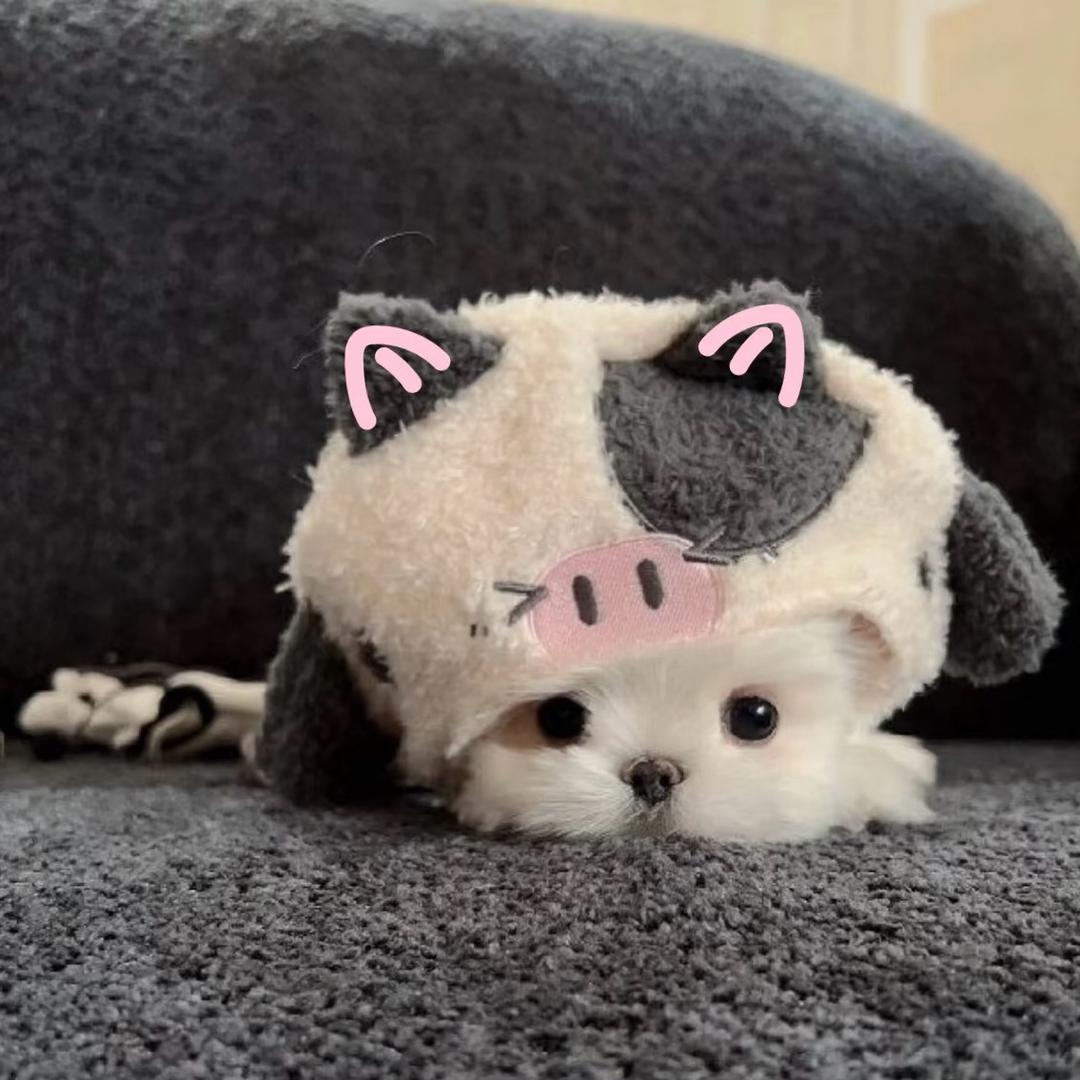 不该说的话别说（黑化版