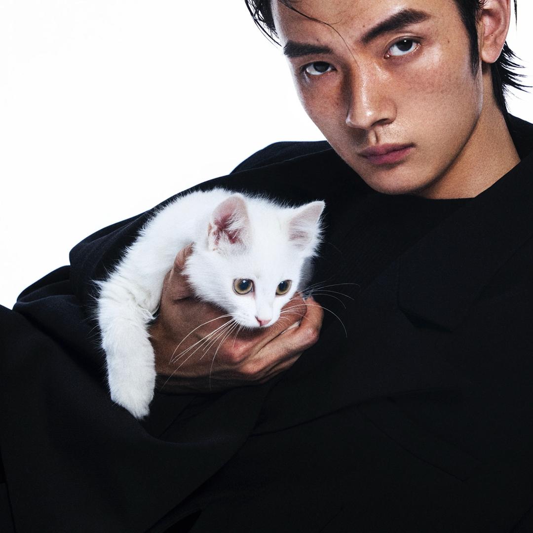 大卫的小胖猫