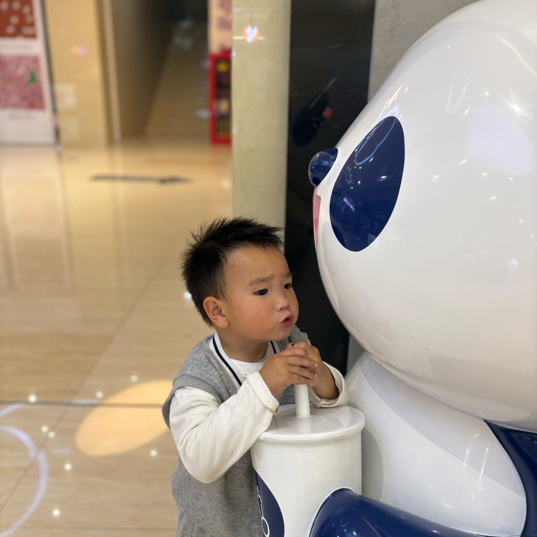 咩咩数羊