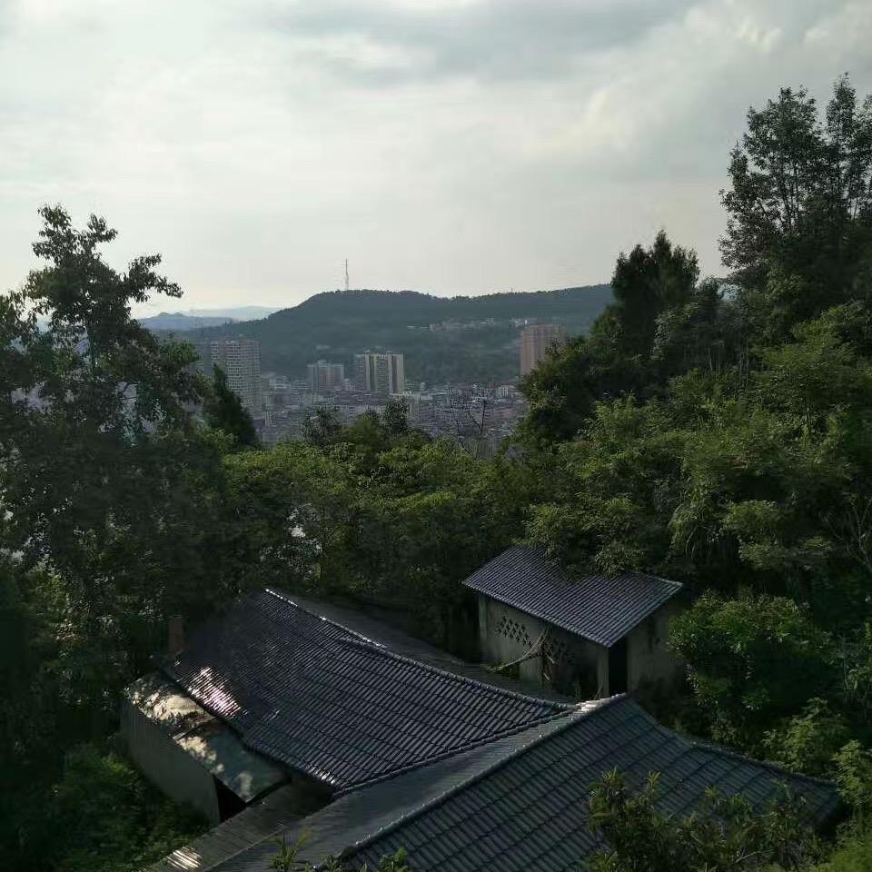 遗忘的海