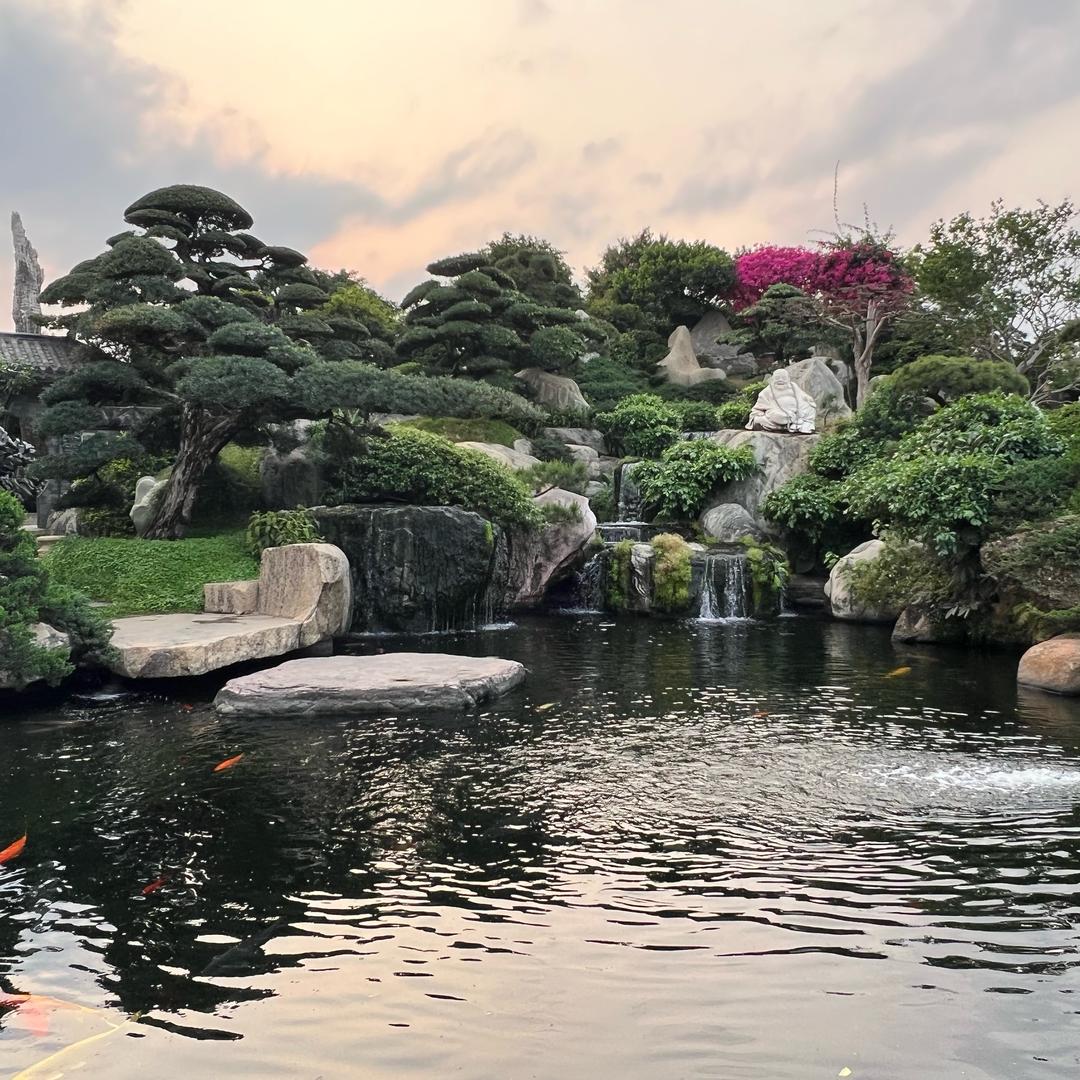 杭州黑松直销基地-青松园