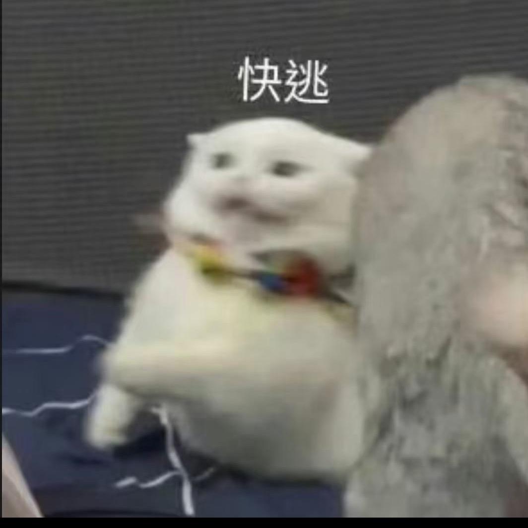 韩狗不狗