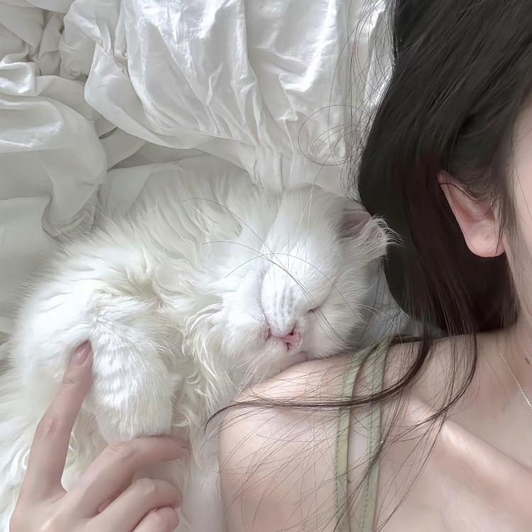 雪梨Pus