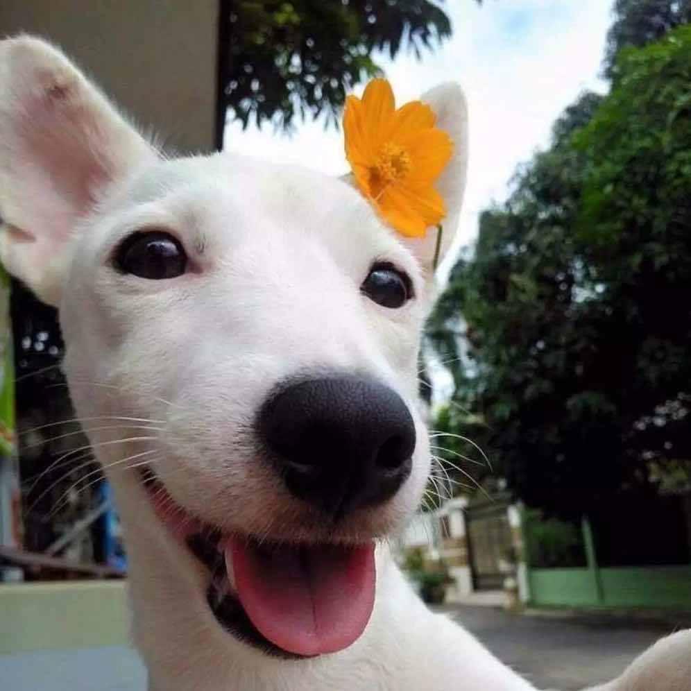 宝库🍊