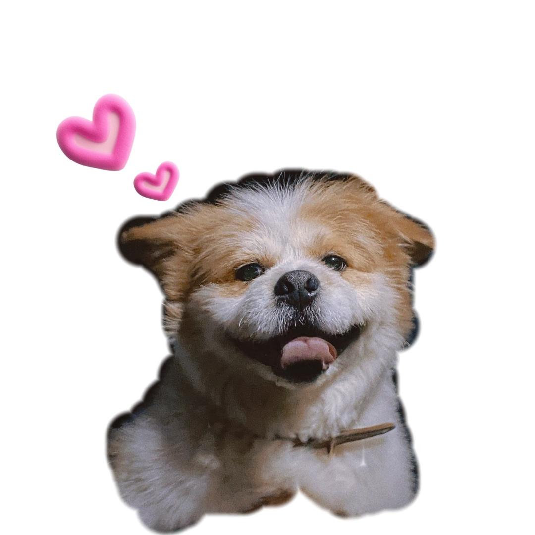 我叫钱多多