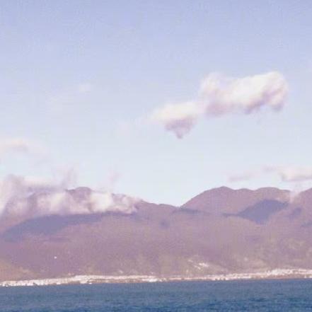 吃一口紫色毛巾