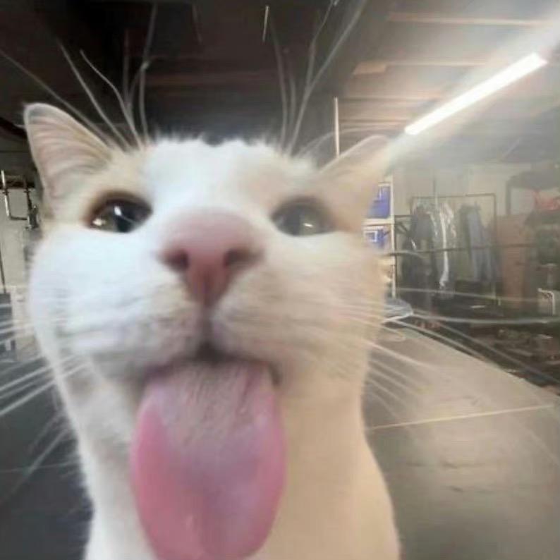 每天都好累求放过