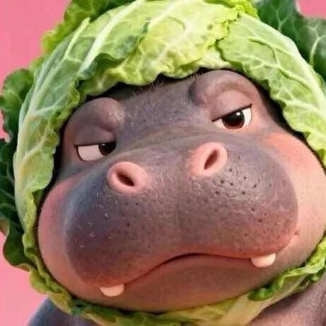 我那单身的老闺蜜