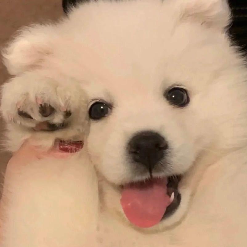 是个番薯