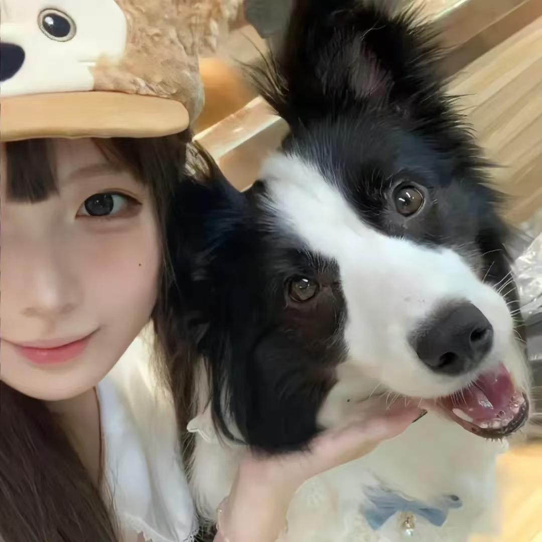 成不了Ta.