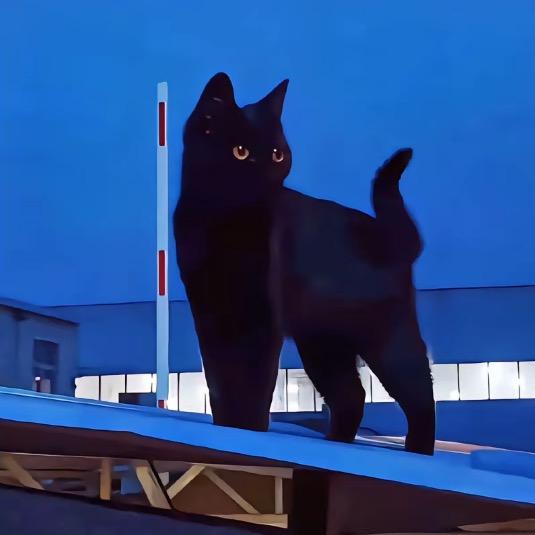 某某^ - ^