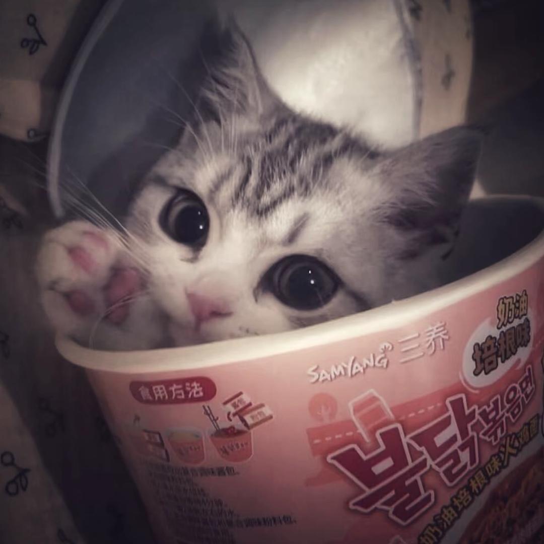 阝東