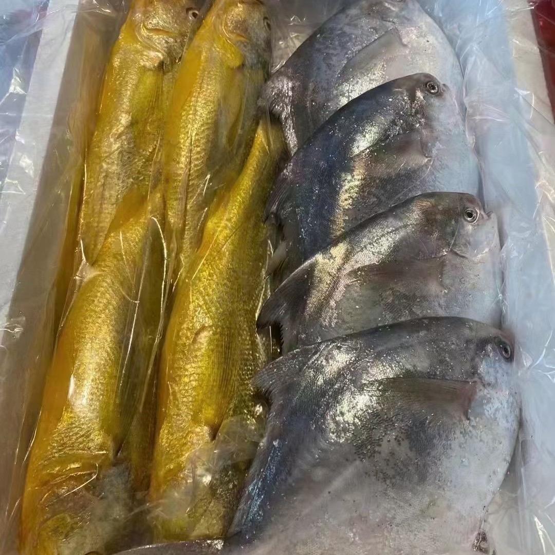 舟山铭乐海鲜Ml