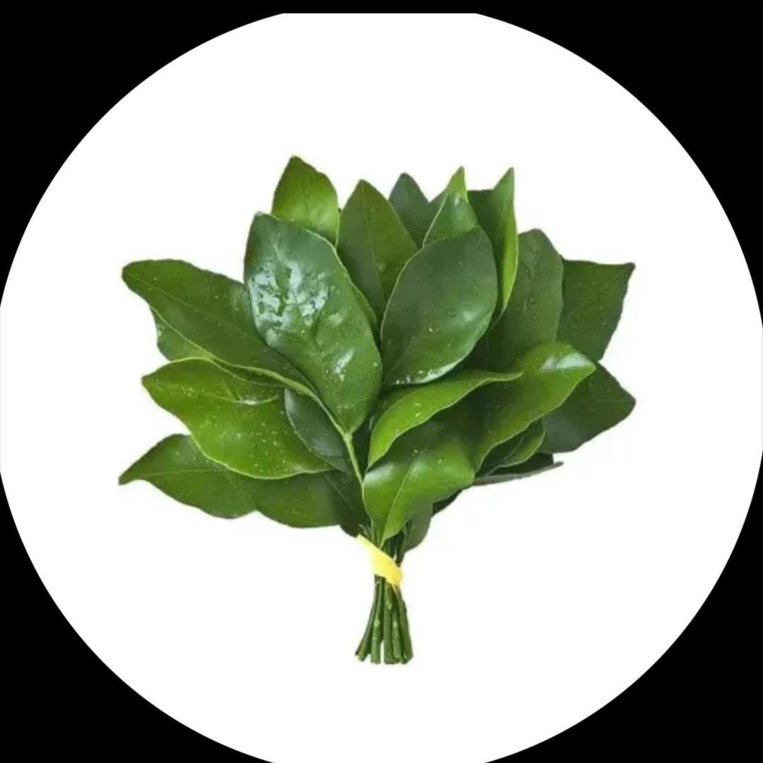豆包，
