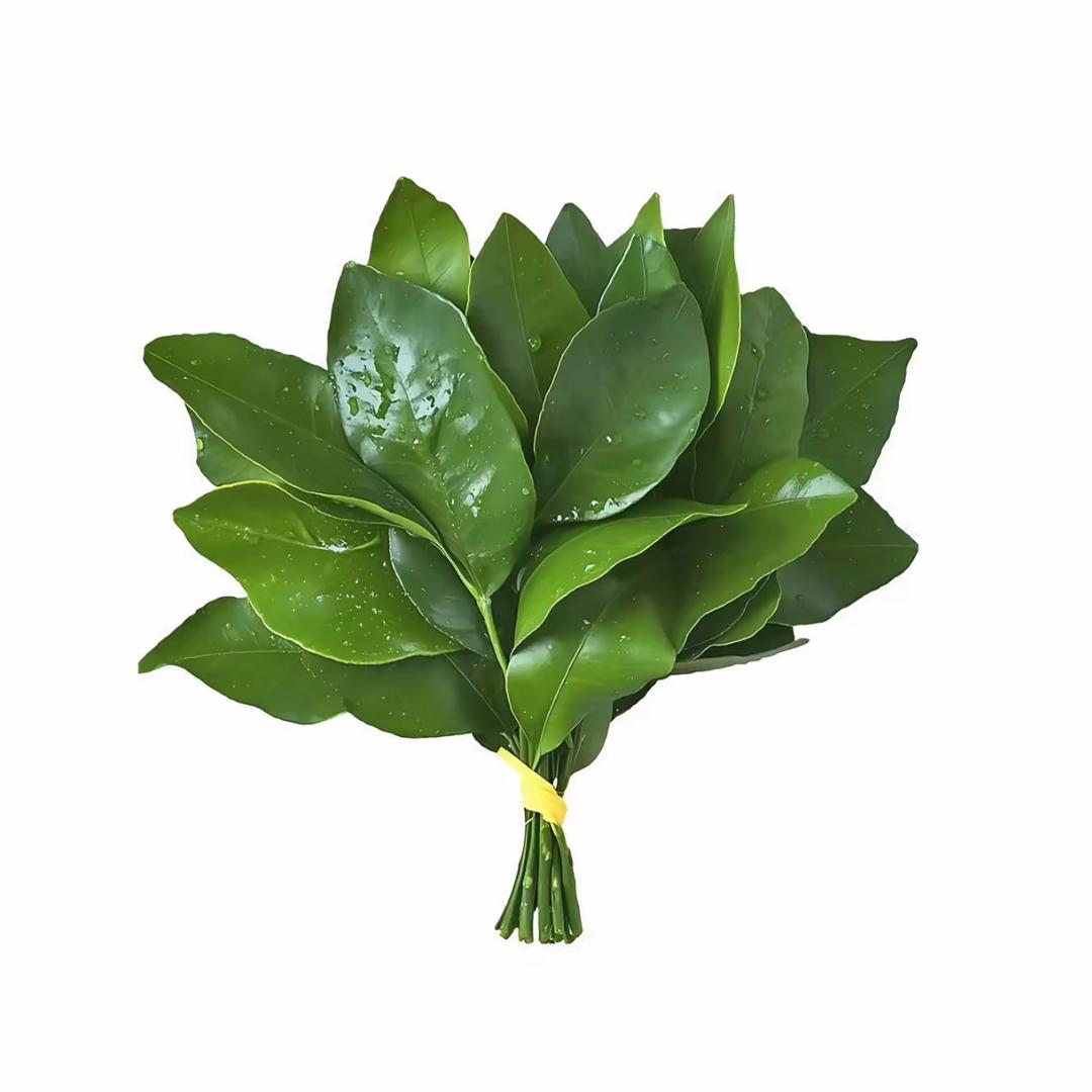 盈盈大王