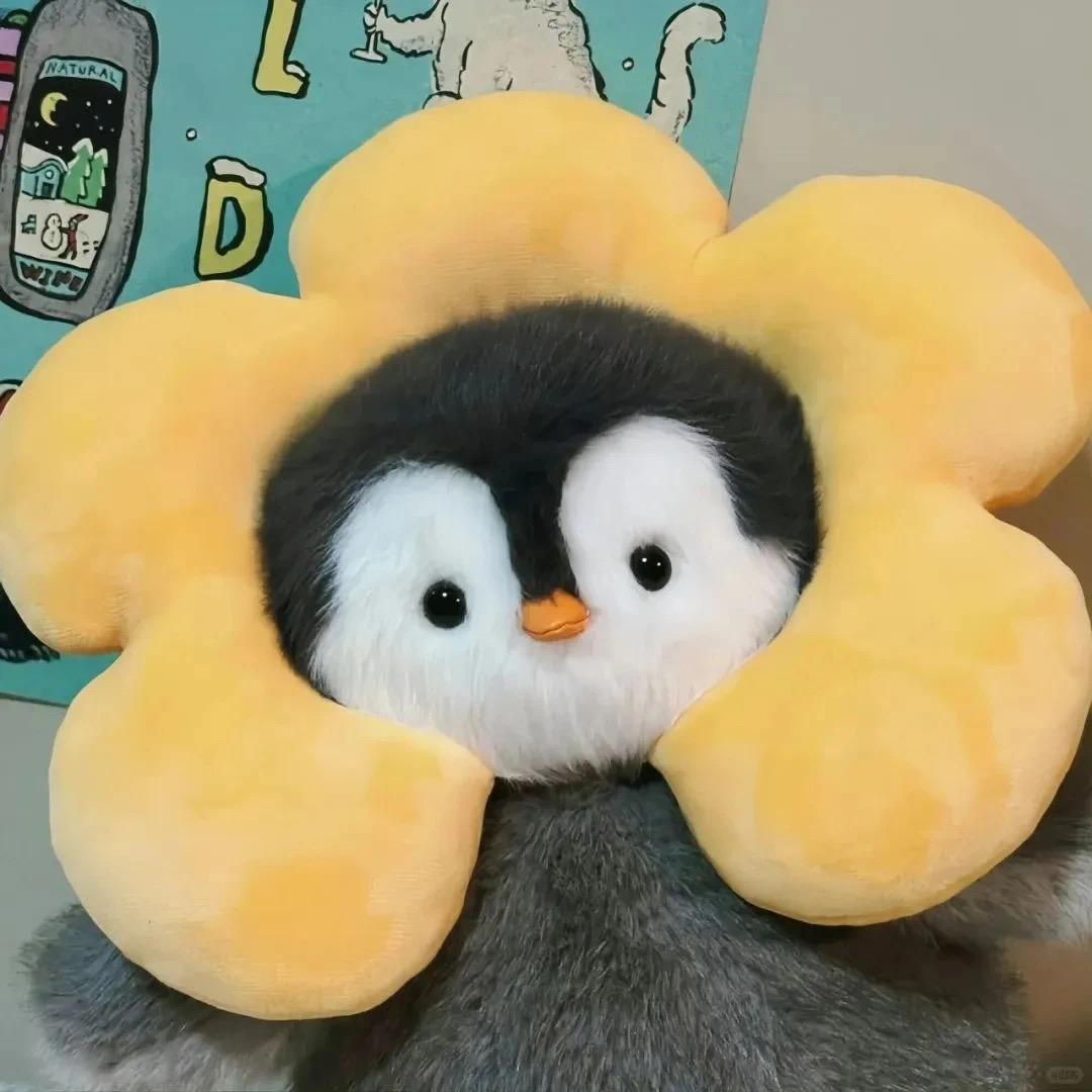 阿钰